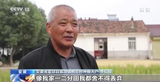 十八連豐！秋收近九成 我國(guó)糧食產(chǎn)能穩(wěn)步提升