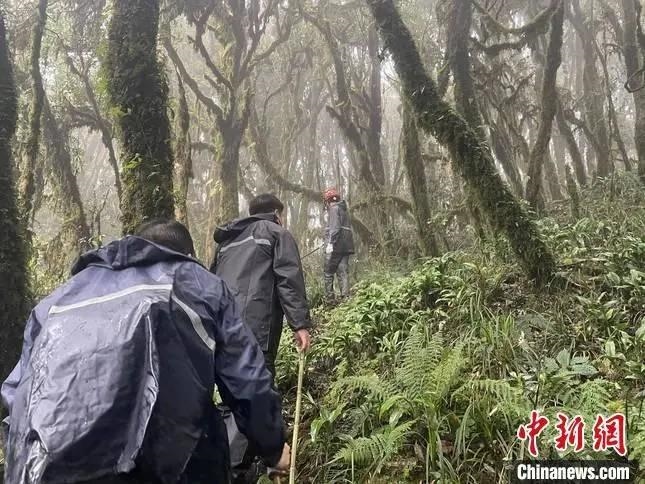 圖為救援現(xiàn)場。鎮(zhèn)沅縣委宣傳部提供