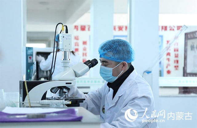 內(nèi)蒙古中農(nóng)興安種?？萍加邢薰韭鋺艨朴抑衅?，為肉牛產(chǎn)業(yè)發(fā)展提供了優(yōu)質(zhì)的種源保障。白俊華攝