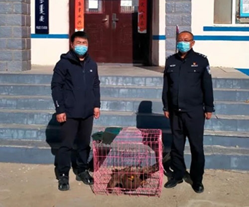 微信圖片_20221105160237_副本.jpg