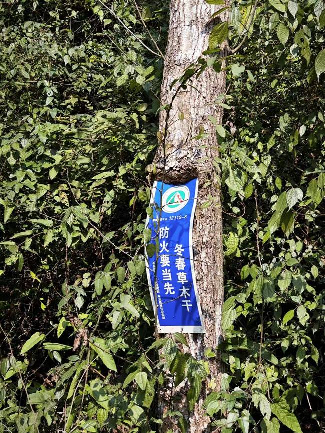 路邊的防火宣傳標(biāo)語(yǔ).jpg