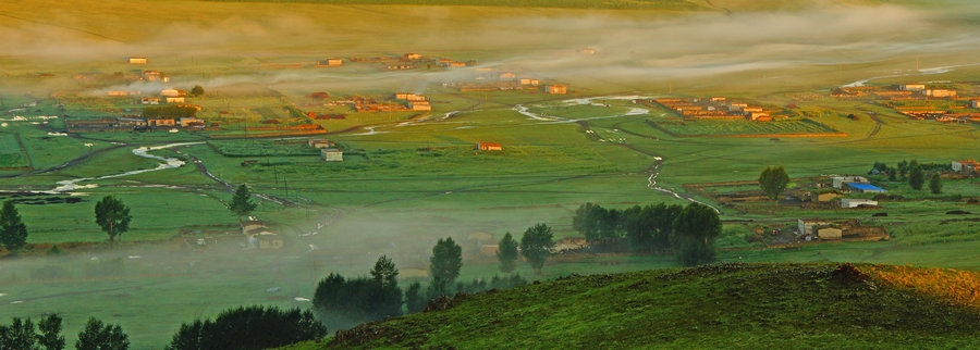 在“螞蟻森林”項(xiàng)目區(qū)，群眾攜手共添新綠（攝影：刁博禹）.jpg