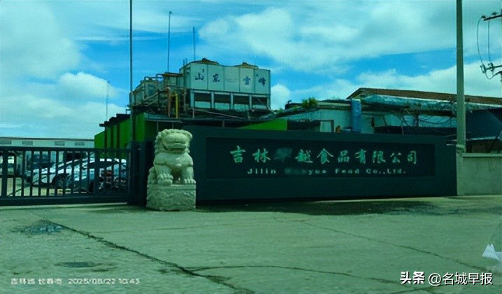 生豬1.jpeg