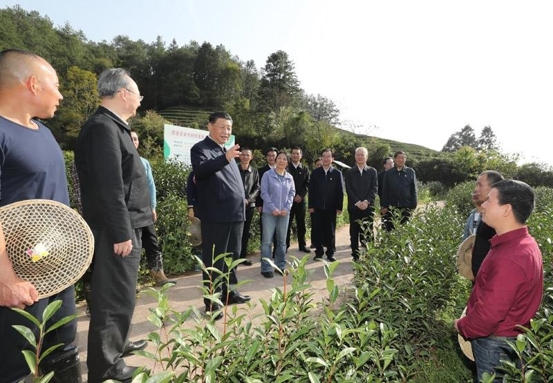 2021年3月22日，習(xí)近平總書記在福建南平武夷山市星村鎮(zhèn)燕子窠生態(tài)茶園，同科技特派員、茶農(nóng)親切交流，了解當(dāng)?shù)夭璁a(chǎn)業(yè)發(fā)展情況。