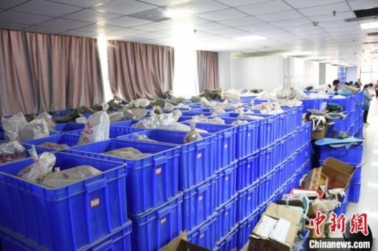 圖為待清理的骨骼標本。王宇 攝