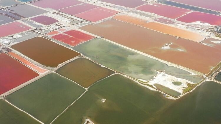 鑒往知來，跟著總書記學(xué)歷史丨走進(jìn)一座博物館，尋根五千年中華文明