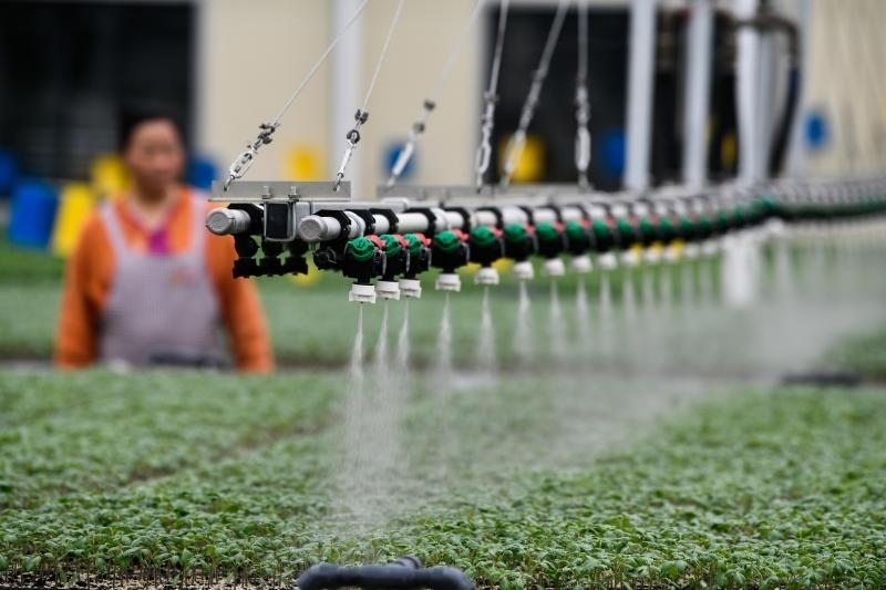 工人在貴陽(yáng)市開(kāi)陽(yáng)縣楠木渡蔬菜良種繁育中心查看自動(dòng)噴灌系統(tǒng)給辣椒苗澆水情況（2023年5月24日攝）。新華社記者 楊文斌 攝
