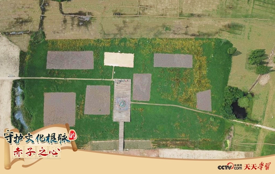 2019年6月23日無人機拍攝的良渚國家考古遺址公園的宮殿區(qū)。