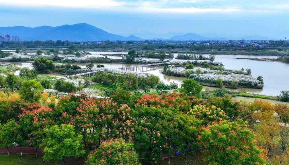 2022年10月11日拍攝的天漢濕地公園景色。新華社發(fā)（宋曉麗 攝）