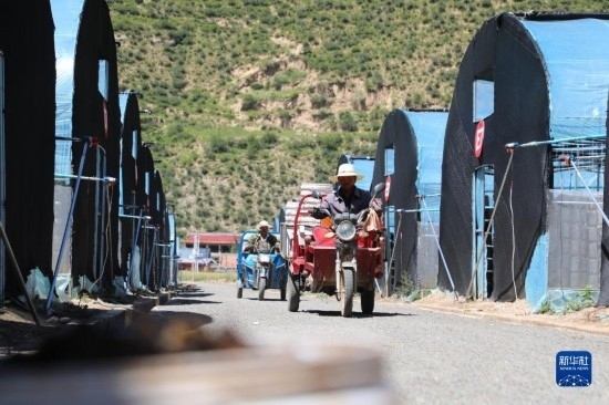 7月29日，農(nóng)戶在卓尼縣納浪鎮(zhèn)納浪村黑木耳種植基地勞作。