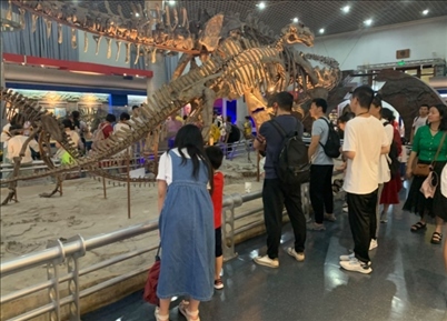 游客參觀國(guó)家自然博物館。人民網(wǎng)記者 劉穎穎攝