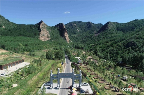 （馬鞍山村 央視網記者邢明 攝）