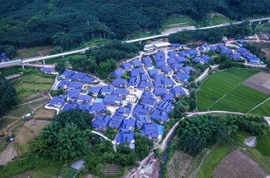 磨憨鎮(zhèn)曼莊村大龍哈小組現(xiàn)代化邊境幸福村新貌。人民網(wǎng)記者 符皓攝