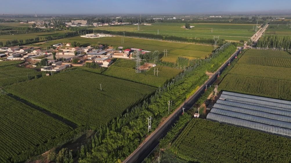 東興村周邊建起防護(hù)林網(wǎng)（無(wú)人機(jī)照片，2023年9月12日攝）。新華社記者李云平 攝