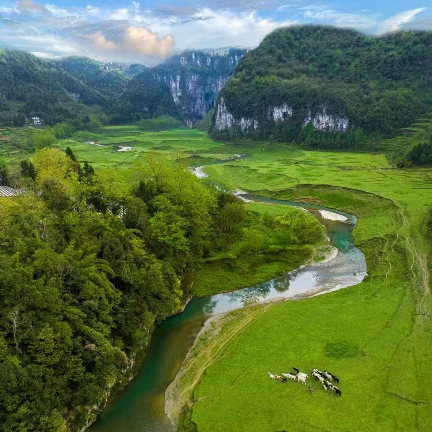 棣棠鄉(xiāng)龍氼孔千畝大草原自駕露營基地。棣棠鄉(xiāng)人民政府供圖