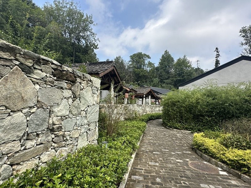 眾多民宿坐落于夫子山山麓。人民網(wǎng) 王紹紹攝