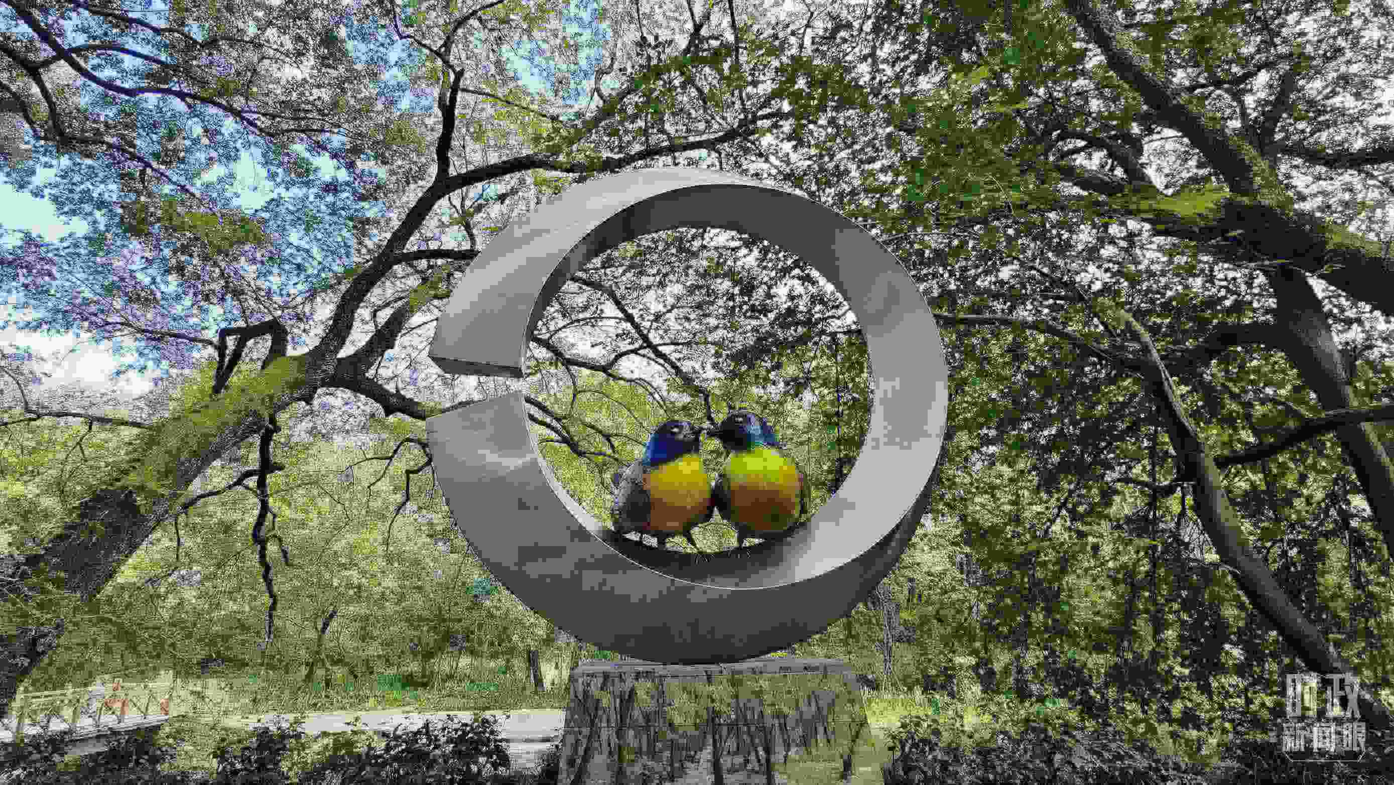 △石門村里的藍(lán)冠噪鹛雕像。（總臺央視記者許永松拍攝）