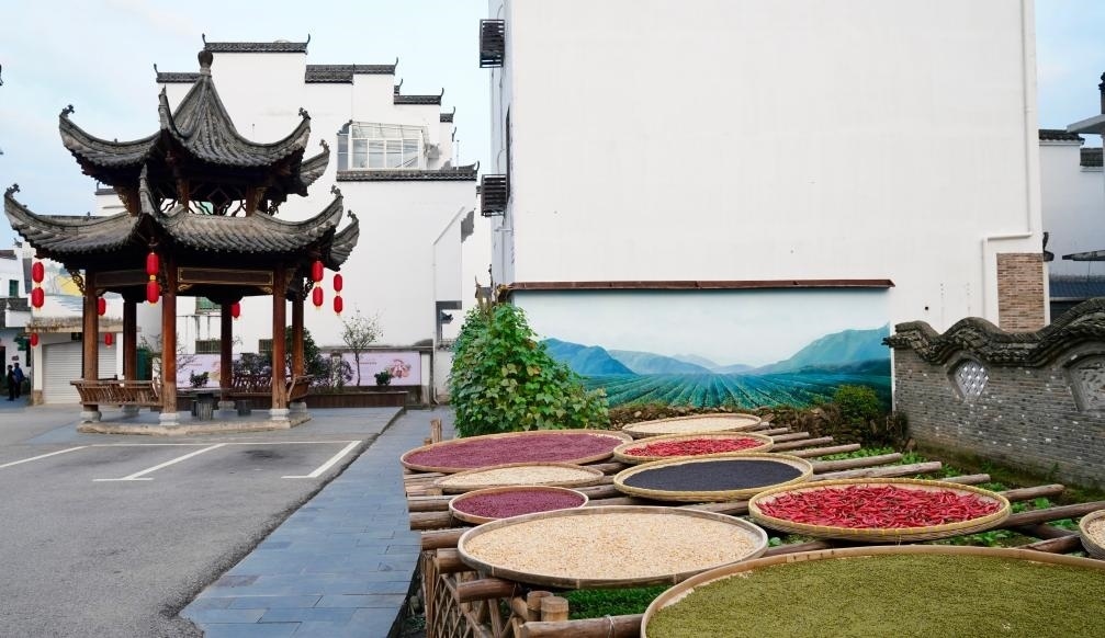 近日拍攝的江西省上饒市婺源縣秋口鎮(zhèn)王村石門自然村曬秋場景。新華社記者 胡晨歡 攝