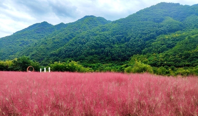 寶成線鳳縣境內(nèi)的路邊。