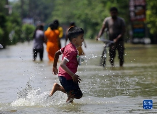 11月24日，一名男孩在斯里蘭卡加姆珀哈涉水出行。新華社發(fā)（阿吉特·佩雷拉攝）