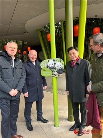 中國駐德國大使吳懇（右二）、柏林市長韋格納（左二）、動物園園長克尼里姆（右一）和監(jiān)事會主席布魯克曼（左一）共同為“夢想”“夢圓”大熊貓紀念牌揭幕。人民網記者 徐馨攝