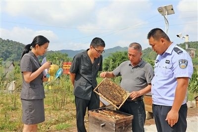  圖②：蒙山法院黃村法庭法官深入蜂蜜合作社，實(shí)地了解蜂農(nóng)需求。