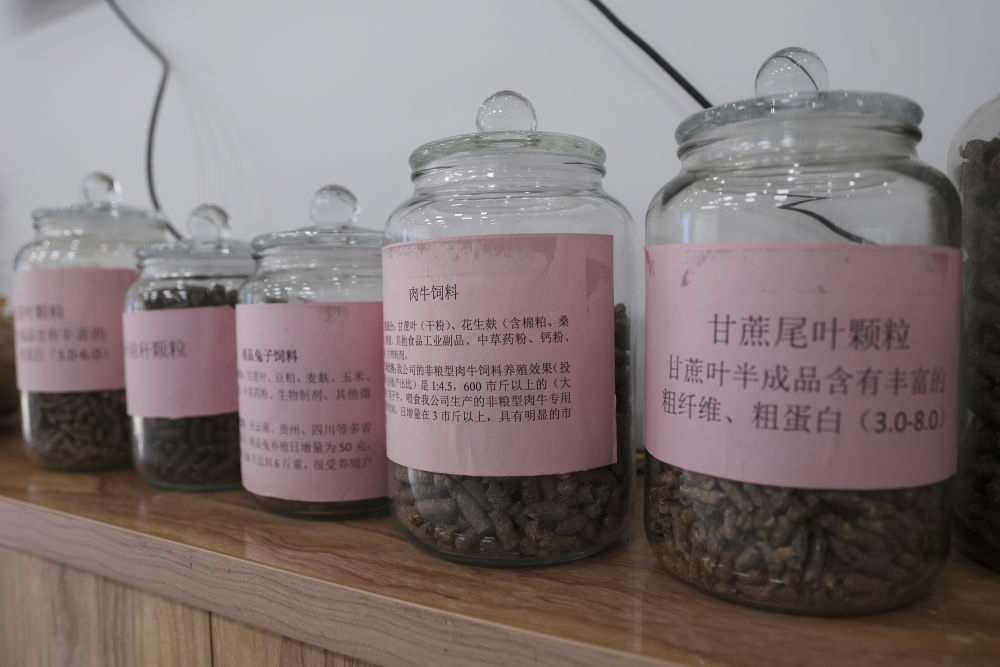 這是12月13日在來賓市興賓區(qū)小平陽鎮(zhèn)一家飼料廠拍攝的以甘蔗尾葉為原料制成的飼料。