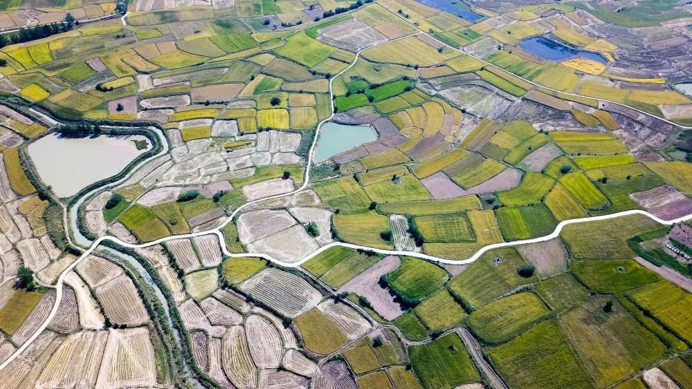 安徽省鳳陽縣小崗村的田野景象（2018年9月27日攝，無人機照片）。新華社記者 張端 攝