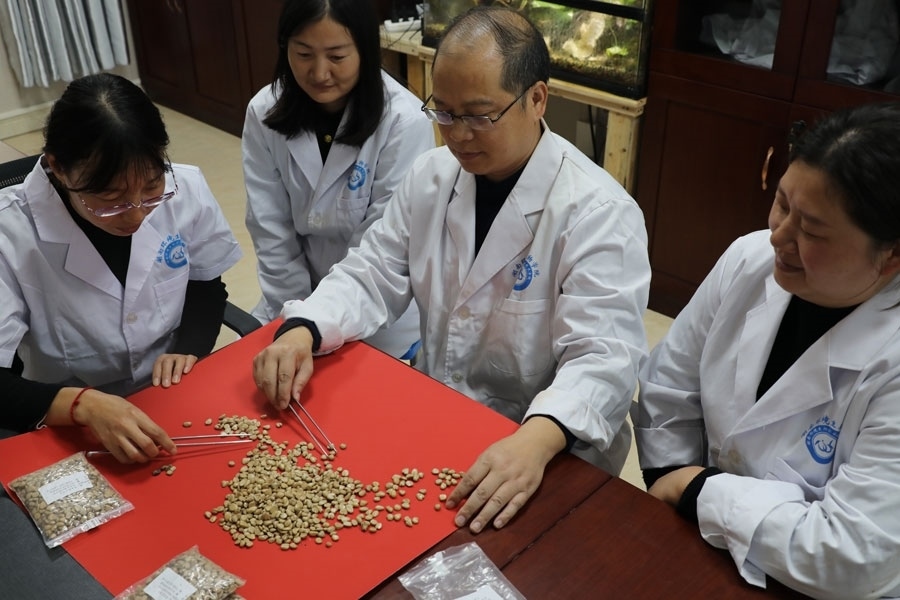 團隊復(fù)檢航天育種種子