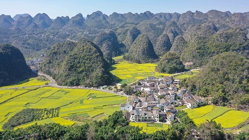 2024年2月17日，貴州省興義市萬峰林景區(qū)的油菜花海景色（無人機(jī)照片）。