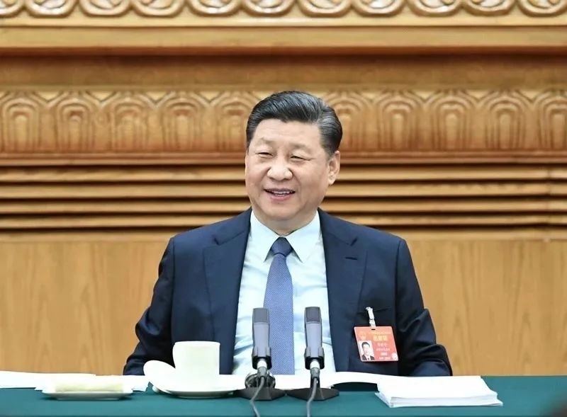 2019年3月8日，習(xí)近平參加十三屆全國人大二次會議河南代表團(tuán)的審議。新華社記者 謝環(huán)馳 攝
