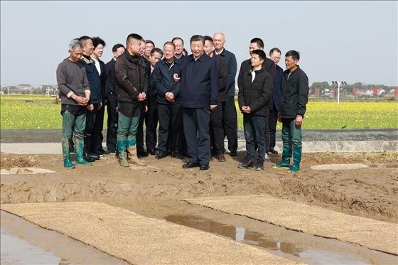 △ 2024年3月19日，習(xí)近平總書記來到湖南省常德市鼎城區(qū)謝家鋪鎮(zhèn)糧食生產(chǎn)萬畝綜合示范片區(qū)考察。