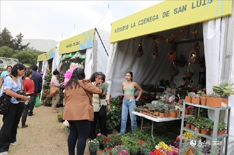 坎波·馬特活動現(xiàn)場。埃內(nèi)斯托·多明戈斯攝