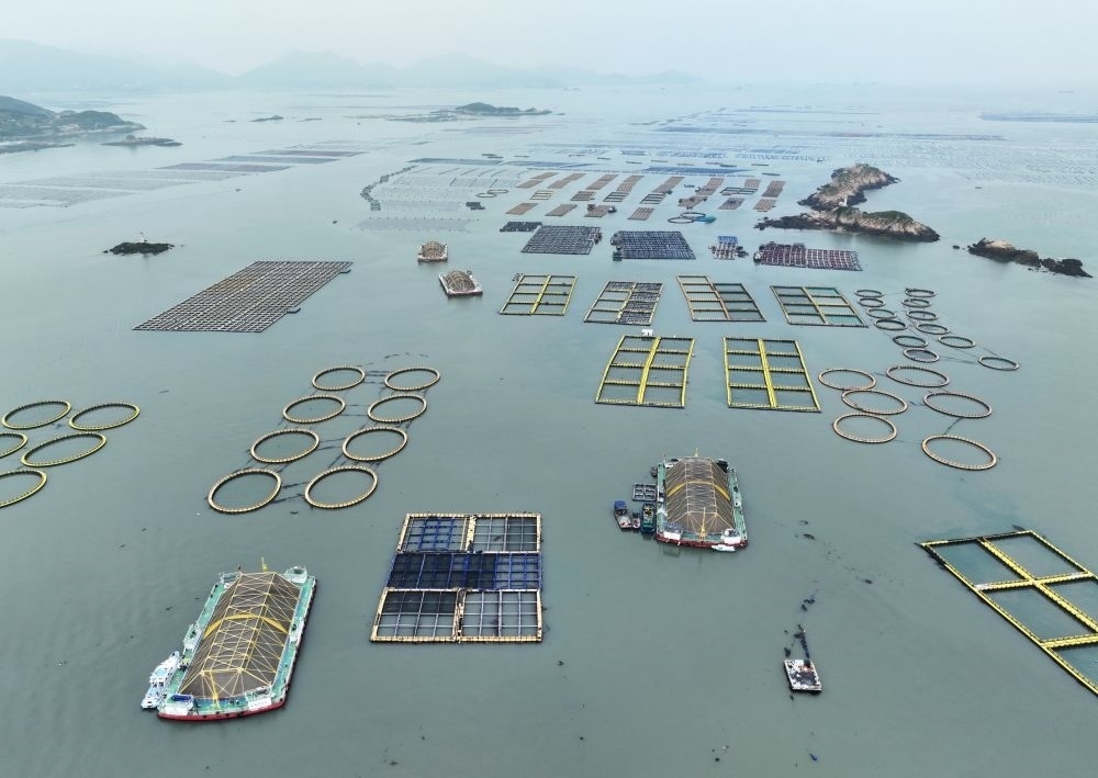 在福建連江定海灣海域，坐落著“定海灣1號(hào)”“定海灣2號(hào)”等深遠(yuǎn)海養(yǎng)殖平臺(tái)（2024年5月7日攝，無人機(jī)照片）。新華社記者 林善傳 攝