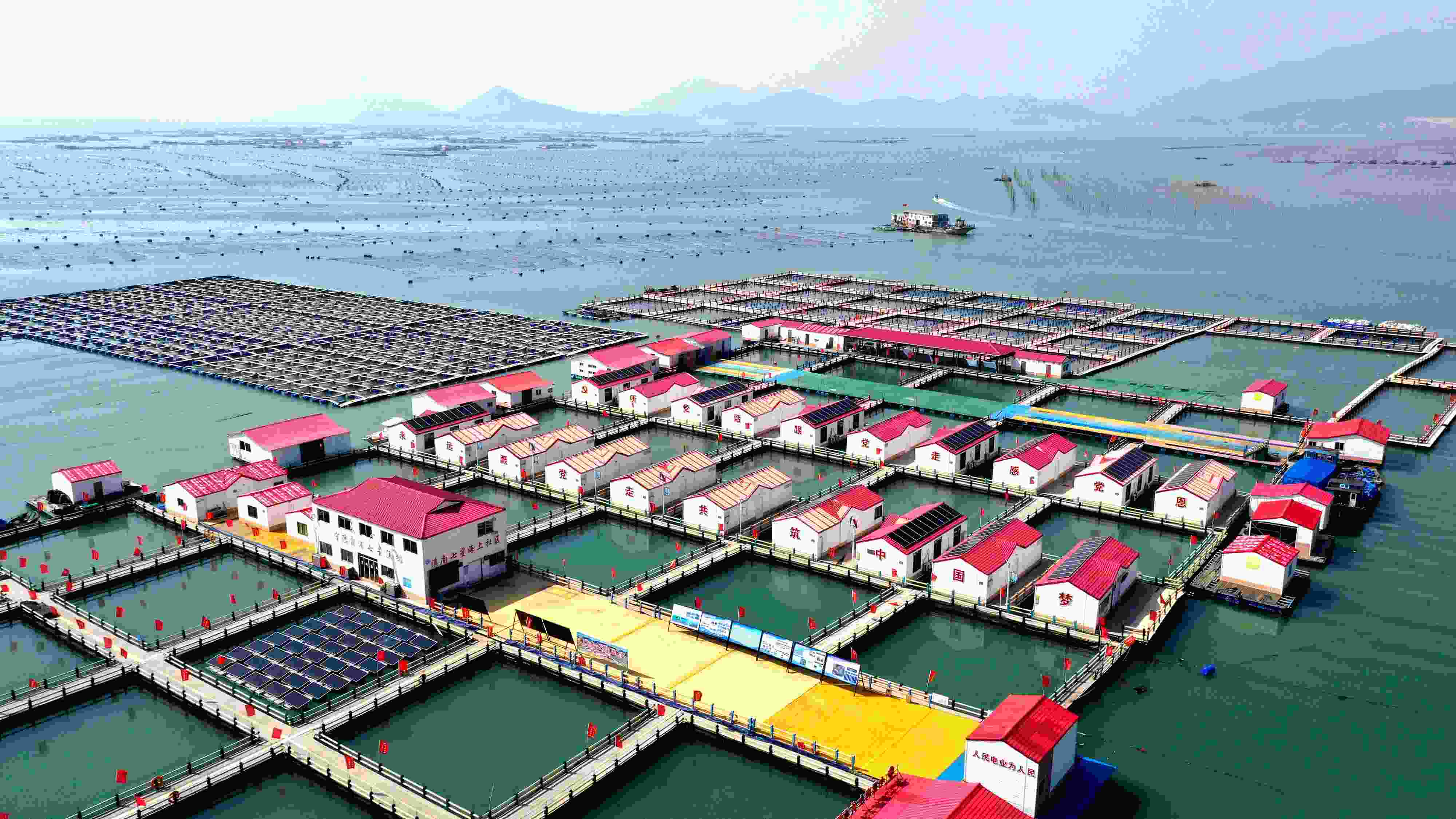 2024年3月20日，福建省寧德市，霞浦縣溪南鎮(zhèn)七星村漁排養(yǎng)殖示范區(qū)，漁民駕駛養(yǎng)殖船進(jìn)行海參養(yǎng)殖作業(yè)。