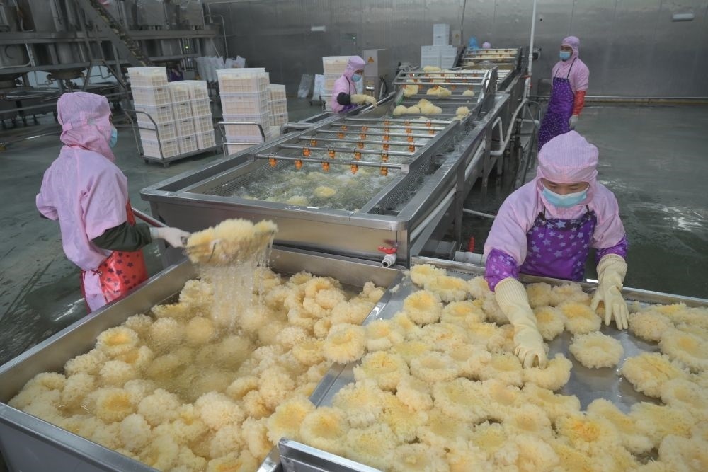 2024年5月10日，在福建省寧德市古田縣，一家食品公司的工作人員在挑選清洗銀耳。新華社記者 林善傳 攝
