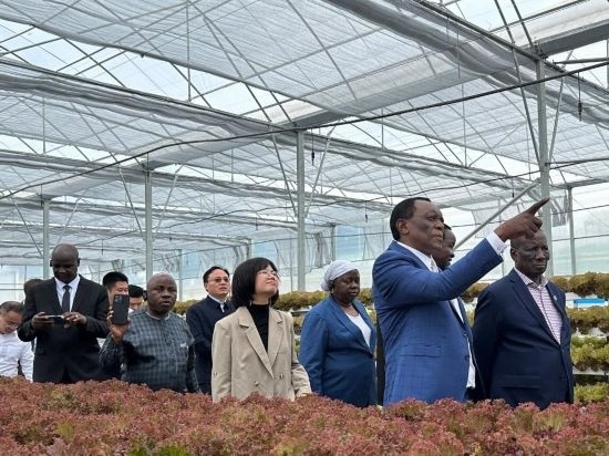 使節(jié)團(tuán)考察貴州省清鎮(zhèn)駱家橋蔬菜保供基地的無(wú)土栽培溫室。新華社記者 袁睿 攝