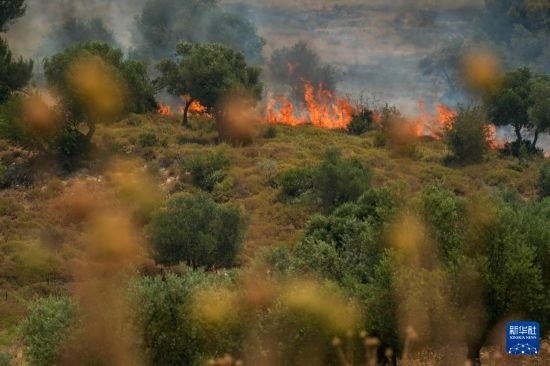6月12日，以色列北部加利利地區(qū)遭受火箭彈襲擊后冒出滾滾濃煙。新華社發(fā)（阿亞爾·馬戈林?jǐn)z/基尼圖片社）