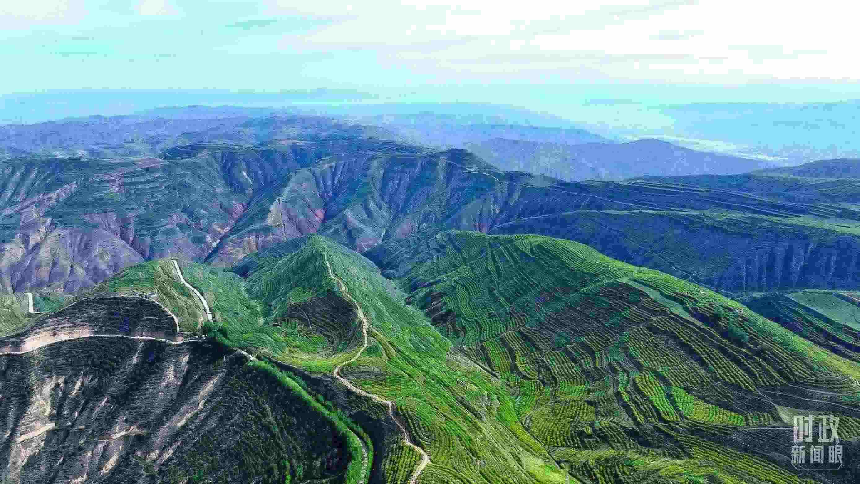 △青海西寧。（總臺記者柳成拍攝）