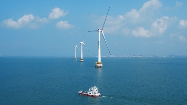 福建興化灣海上風(fēng)電場。受訪者供圖