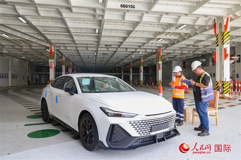 工人正在進(jìn)行卸車作業(yè)。人民網(wǎng)記者 任皓宇攝