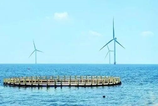 △山東萊州風電項目實現(xiàn)了海上風電和海洋牧場融合發(fā)展。