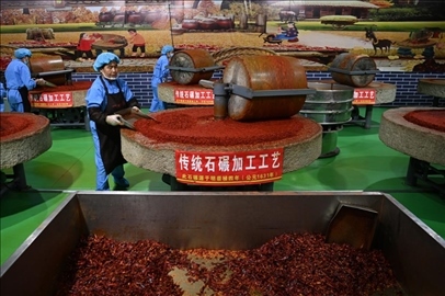 工人用電動石碾加工辣椒面。新華社記者 范培珅 攝