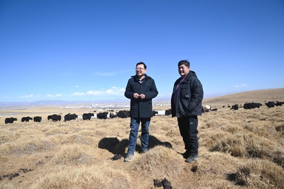 2023年2月24日，在青海省海北藏族自治州海晏縣青海湖鄉(xiāng)達玉日秀村，全國人大代表董全民（左）查看牧民東知布家的草場。新華社記者 張龍 攝