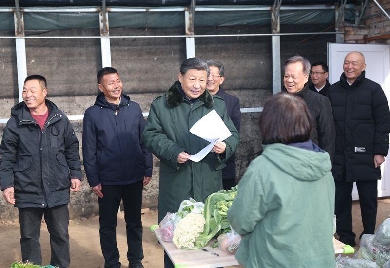 2024年2月1日，習(xí)近平總書(shū)記在天津市西青區(qū)辛口鎮(zhèn)第六埠村，走進(jìn)大棚同菜農(nóng)親切交流。