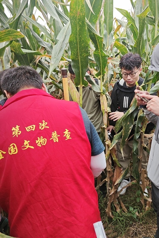 普查隊員正在使用探鏟進行探測。中國文物報供圖