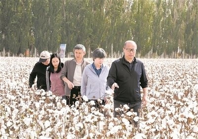 李召虎團隊成員在棉田了解試驗情況。 受訪單位供圖