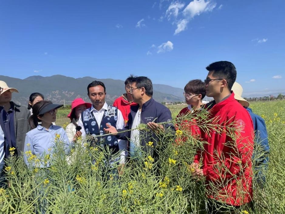 在“科技小院”授課的張福鎖。人民網(wǎng)記者李依環(huán) 攝