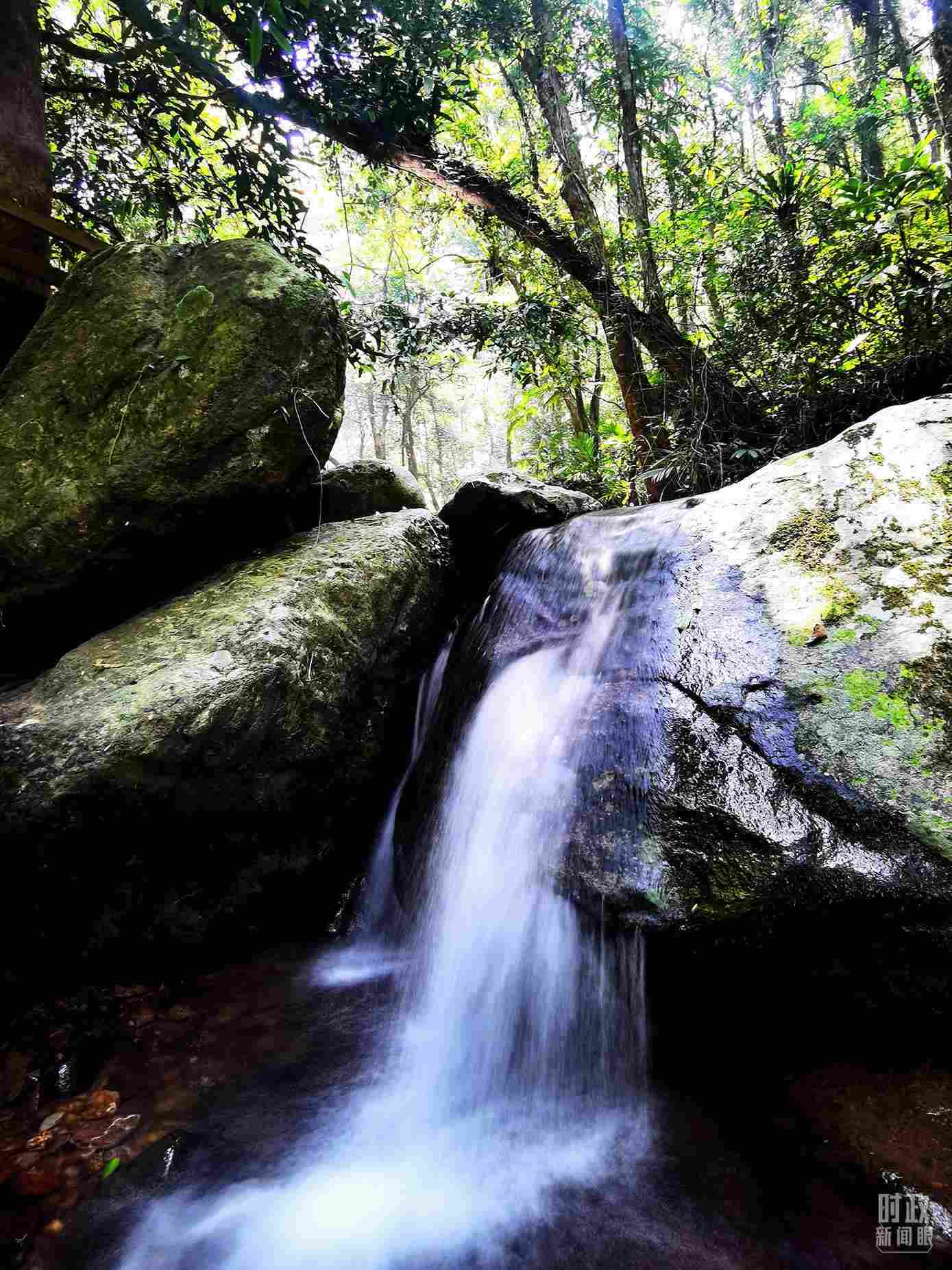 海南五指山。（總臺(tái)央視記者劉琦拍攝）