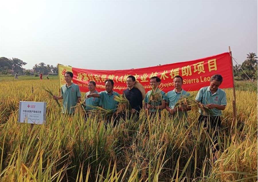 中國(guó)駐塞拉利昂大使王擎和援塞農(nóng)業(yè)專家組合影。中國(guó)援塞農(nóng)業(yè)專家組供圖